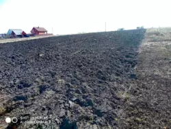 ��������� ������� ����������, �������, ������� ���� 2