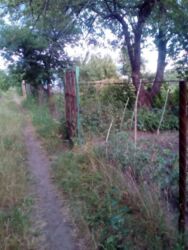 Дача Фрунзенец фото 4 Дача Фрунзенец фото 4