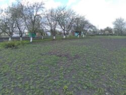 Продается участок Сумская, Сумы, Тополянська вул. фото 4 Продается участок Сумская, Сумы, Тополянська вул. фото 4