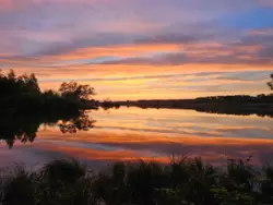 Продается участок Сумская, Сумы, Ковпаковский, пров. Тихий,18 фото 1 Продается участок Сумская, Сумы, Ковпаковский, пров. Тихий,18 фото 1