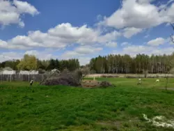 Продается участок Сумская, Сумы, Заречный, пров. 2-й Восточний Баси, 36 фото 1 Продается участок Сумская, Сумы, Заречный, пров. 2-й Восточний Баси, 36 фото 1