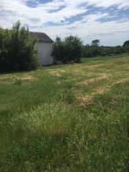 Продается участок Сумская, Сумский, Сад фото 2 Продается участок Сумская, Сумский, Сад фото 2