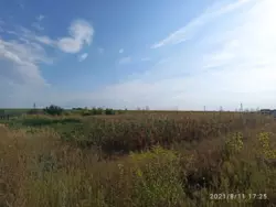 ��������� ������� ���� ������� 48., ������� ���������, �������, ������� ���� 6