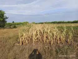 ��������� ������� ���� ������� 48., ������� ���������, �������, ������� ���� 3