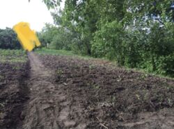 Дача Олдыш фото 3 Дача Олдыш фото 3