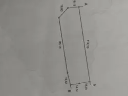 Продается участок Сумская, Конотопский, Жовтневое, СМТ Миколаївка фото 2 Продается участок Сумская, Конотопский, Жовтневое, СМТ Миколаївка фото 2