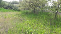 Дача Новоселица Химик 3 фото 3 Дача Новоселица Химик 3 фото 3