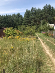 Продается участок Сумская, Сумский, Стецьковка фото 2 Продается участок Сумская, Сумский, Стецьковка фото 2