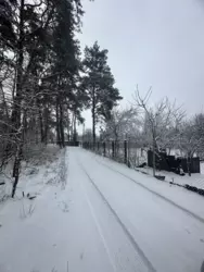 Продается участок Сумская, Сумский, Старое село, с/р Верхньосироватська / с/т Зірка фото 6 Продается участок Сумская, Сумский, Старое село, с/р Верхньосироватська / с/т Зірка фото 6