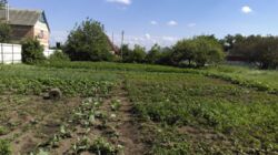 Продается участок Веретенівка, Сумы, Сумская, Ковпаковский фото 2 Продается участок Веретенівка, Сумы, Сумская, Ковпаковский фото 2