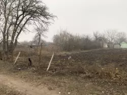 ��������� ������� ���������, ����, �������, ������������ ���� 3