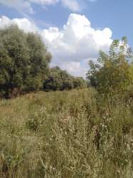 Продается участок Сумская, Сумы, Заречный фото 4 Продается участок Сумская, Сумы, Заречный фото 4