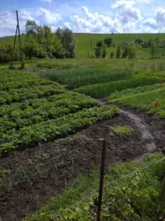 ��������� ������� ������������, �������, ������� ���� 2