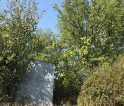 Продается участок Сумская, Сумы, Ковпаковский фото 4 Продается участок Сумская, Сумы, Ковпаковский фото 4