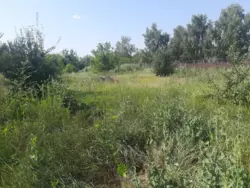 Продается участок Сумская, Сумы, Ковпаковский, Гайова р-н Роменської фото 2 Продается участок Сумская, Сумы, Ковпаковский, Гайова р-н Роменської фото 2