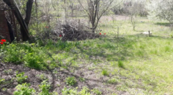 Продается участок Сумская, Сумы, Заречный, Химик фото 6 Продается участок Сумская, Сумы, Заречный, Химик фото 6