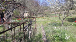 Продается участок Сумская, Сумы, Заречный, Химик фото 3 Продается участок Сумская, Сумы, Заречный, Химик фото 3