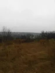 Продается участок Сумская, Сумы, СТ Барвінок фото 3 Продается участок Сумская, Сумы, СТ Барвінок фото 3