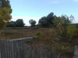 Продается участок Нижнє Пісчане, вул. Виноградна 37,, Песчаное, Сумы, Сумская фото 2 Продается участок Нижнє Пісчане, вул. Виноградна 37,, Песчаное, Сумы, Сумская фото 2