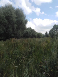Продается участок Сумская, Сумы, Заречный фото 3 Продается участок Сумская, Сумы, Заречный фото 3