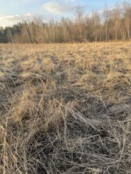 Продается участок Сумская, Сумский, Нижняя Сыроватка фото 1 Продается участок Сумская, Сумский, Нижняя Сыроватка фото 1