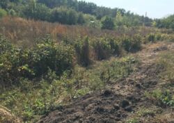 Продается участок Сумская, Сумы, Ковпаковский фото 3 Продается участок Сумская, Сумы, Ковпаковский фото 3