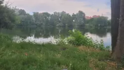 Продается участок Сумская, Сумы, садовод 'Дружба' фото 2 Продается участок Сумская, Сумы, садовод 'Дружба' фото 2