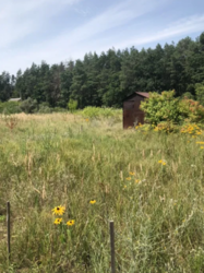 Продается участок Сумская, Сумский, Стецьковка фото 4 Продается участок Сумская, Сумский, Стецьковка фото 4