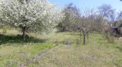 Продается участок Сумская, Сумы, Заречный, Химик фото 2 Продается участок Сумская, Сумы, Заречный, Химик фото 2