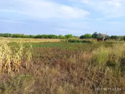 ��������� ������� ���� ������� 48., ������� ���������, �������, ������� ���� 4