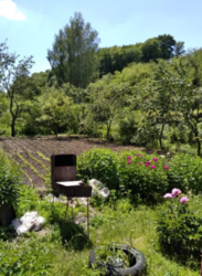 Продается участок Сумская, Сумы фото 12 Продается участок Сумская, Сумы фото 12