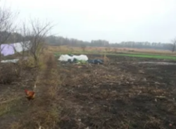 Продается участок Сумская фото 2 Продается участок Сумская фото 2