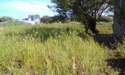 Продается участок Сумская, Сумы, Ковпаковский, Веретинівка фото 2 Продается участок Сумская, Сумы, Ковпаковский, Веретинівка фото 2