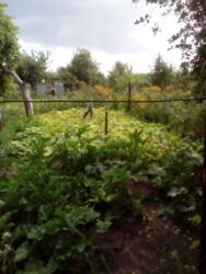 Дача Фрунзенец фото 2 Дача Фрунзенец фото 2