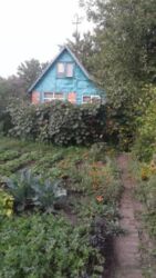 Дачный участок фото 2 Дачный участок фото 2