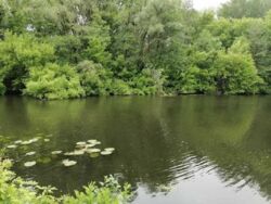 Участок в черте города возле реки, на Луке . фото 6 Участок в черте города возле реки, на Луке . фото 6