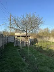 Продается участок Сумская, Сумы, Заречный, Баранівка с/т Енергетик-2 фото 8 Продается участок Сумская, Сумы, Заречный, Баранівка с/т Енергетик-2 фото 8