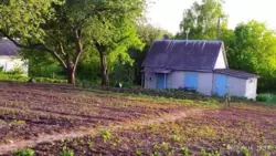 Продается участок Сумская, Сумы, Заречный, р-н Аеропорта фото 2 Продается участок Сумская, Сумы, Заречный, р-н Аеропорта фото 2