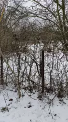 Продается участок Сумская, Сумы, Ковпаковский, Білопільський шлях с/т Енергія фото 3 Продается участок Сумская, Сумы, Ковпаковский, Білопільський шлях с/т Енергія фото 3