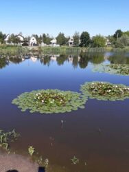 Участок Бездрык фото 2 Участок Бездрык фото 2