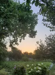 Продается участок Сумская, Сумы, Заречный, с/т Хімік-1 фото 1 Продается участок Сумская, Сумы, Заречный, с/т Хімік-1 фото 1