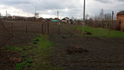 Продается участок Сумская, Сумский, Низы фото 3 Продается участок Сумская, Сумский, Низы фото 3