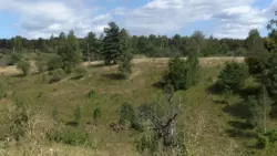 ��������� ������� ���������, �����������, ������� ���� 1