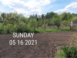 Дача Олдыш фото 1 Дача Олдыш фото 1