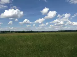 Ділянка під дачу фото 3 Ділянка під дачу фото 3