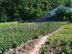 Продается участок Сумская, Сумский, Липняк фото 3 Продается участок Сумская, Сумский, Липняк фото 3