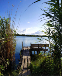 Продается участок Сумская, Сумы, Заречный, Тепличная фото 3 Продается участок Сумская, Сумы, Заречный, Тепличная фото 3