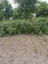 Продается участок Сумская, Сумы, Заречный, Баранівка, с//т Озерне фото 2 Продается участок Сумская, Сумы, Заречный, Баранівка, с//т Озерне фото 2