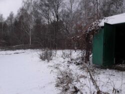 Продается участок Сумская, Сумы, Чистые пруды фото 1 Продается участок Сумская, Сумы, Чистые пруды фото 1