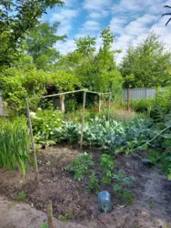 Продается участок Сумская, Сумы, Заречный, за центральним парком , 1-ша лінія р. Псел фото 8 Продается участок Сумская, Сумы, Заречный, за центральним парком , 1-ша лінія р. Псел фото 8